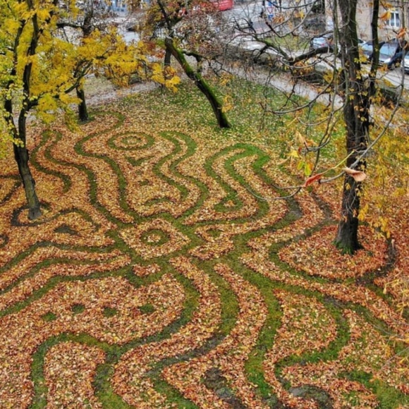 Meet your Posher, Strohm - Picture 1 of 1